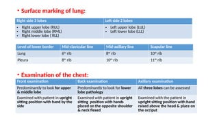 Respiratory system.pptx by Dr. Shakil Ali Dewan | PPTX