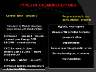 RESPIRATORY SYSTEM.pptx, physiology of lungs | PPTX