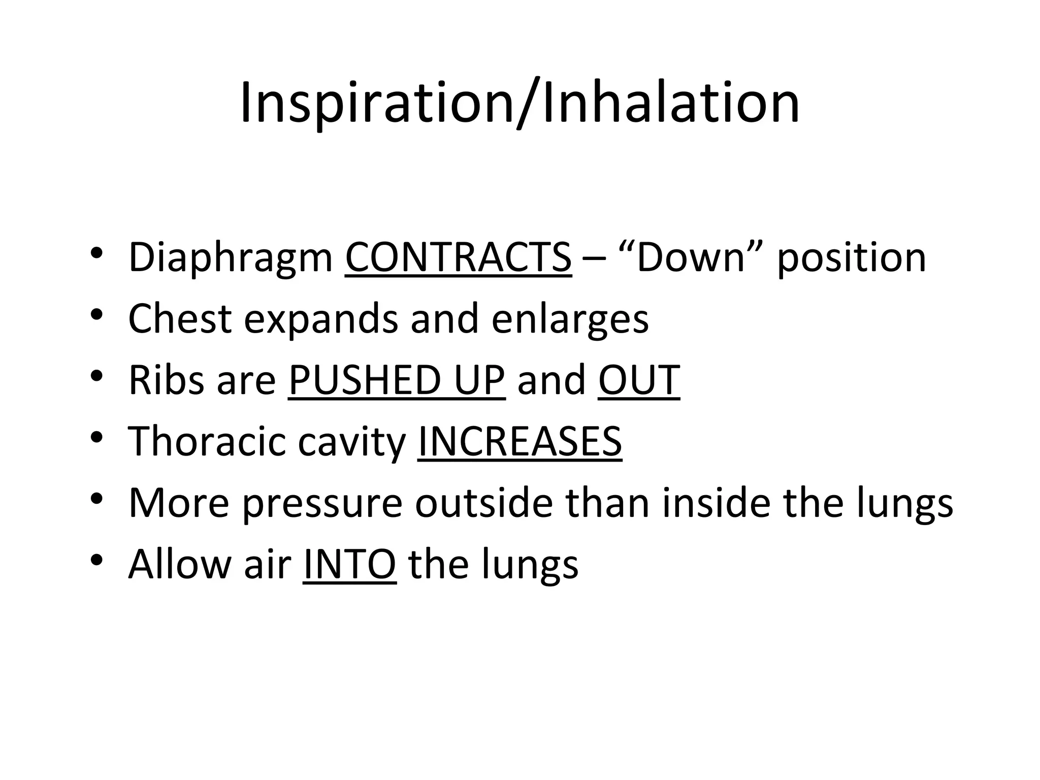 Inspiration/Inhalation Diaphragm  CONTRACTS  – “Down” position Chest expands and enlarges Ribs are  PUSHED UP  and  OUT Thoracic cavity  INCREASES More pressure outside than inside the lungs  Allow air  INTO  the lungs  