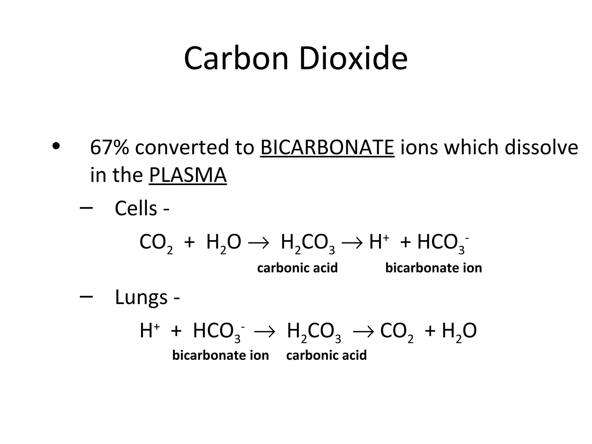 Carbon Dioxide 67% converted to  BICARBONATE  ions which dissolve in the  PLASMA Cells -  Carbon dioxide gets picked up CO 2   +  H 2 O     H 2 CO 3     H +   + HCO 3 - carbonic acid  bicarbonate ion Lungs -  Carbon dioxide gets dropped off   H +   +  HCO 3 -     H 2 CO 3     CO 2   + H 2 O   bicarbonate ion  carbonic acid 