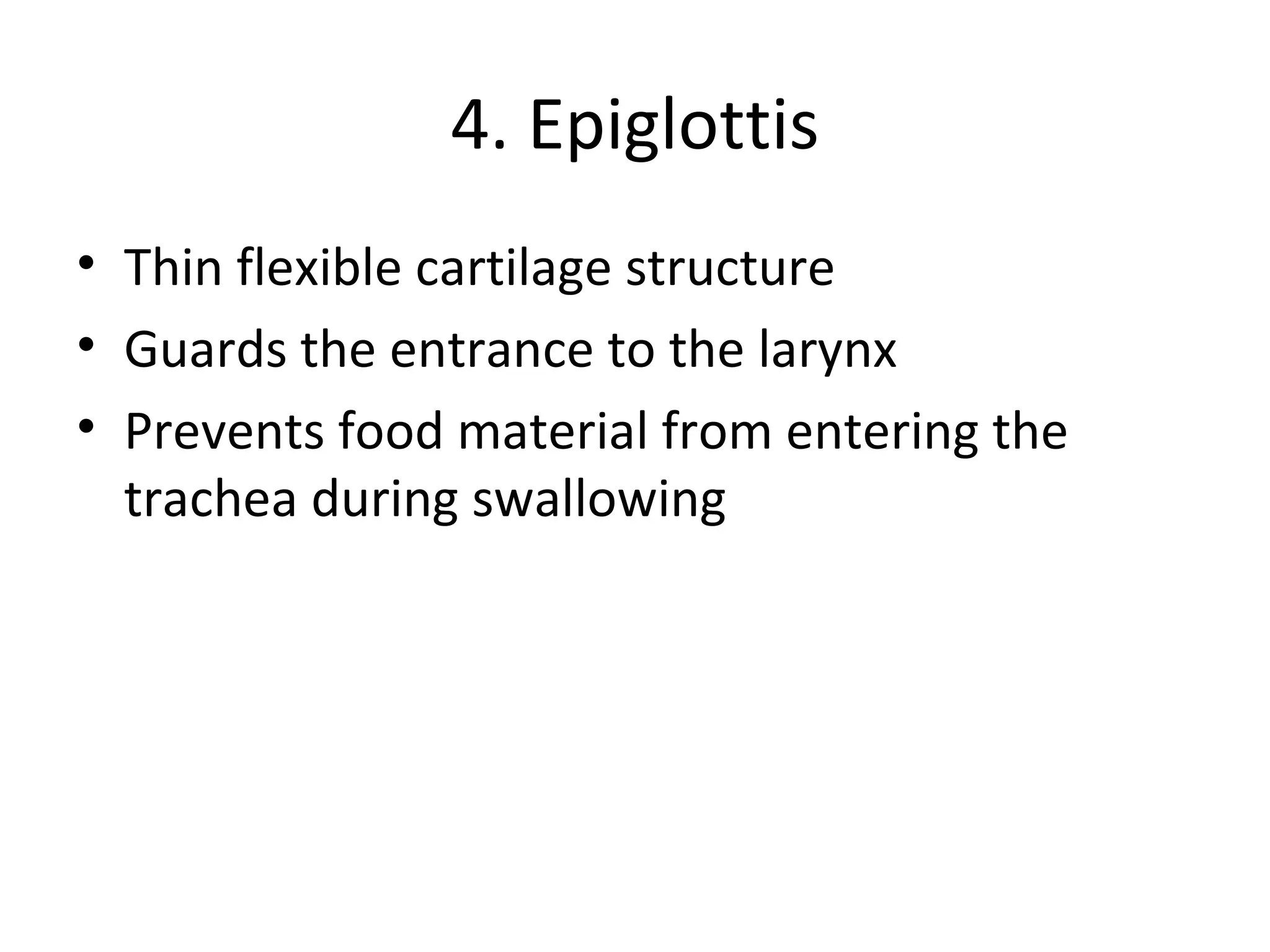 4. Epiglottis Thin flexible cartilage structure Guards the entrance to the larynx Prevents food material from entering the trachea during swallowing 