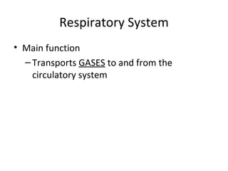 Respiratory System ,[object Object],[object Object]