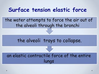 an elastic contractile force of the entire
lungs
the alveoli trays to collapse.
the water attempts to force the air out of
the alveoli through the bronchi
Surface tension elastic force
 