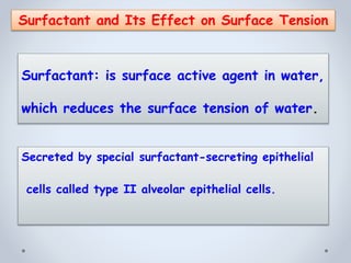 Secreted by special surfactant-secreting epithelial
cells called type II alveolar epithelial cells.
Surfactant: is surface active agent in water,
which reduces the surface tension of water.
Surfactant and Its Effect on Surface Tension
 