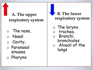 A. The upper
respiratory system
o The nose,
o Nasal
o Cavity,
o Paranasal
sinuses.
o Pharynx
B. The lower
respiratory system
o The larynx.
o trachea.
o Bronchi.
bronchioles
o Alveoli of the
lungs
 