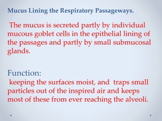 Mucus Lining the Respiratory Passageways.
The mucus is secreted partly by individual
mucous goblet cells in the epithelial lining of
the passages and partly by small submucosal
glands.
Function:
keeping the surfaces moist, and traps small
particles out of the inspired air and keeps
most of these from ever reaching the alveoli.
 