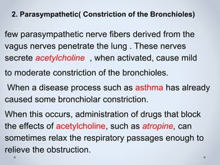 2. Parasympathetic( Constriction of the Bronchioles)
few parasympathetic nerve fibers derived from the
vagus nerves penetrate the lung . These nerves
secrete acetylcholine , when activated, cause mild
to moderate constriction of the bronchioles.
When a disease process such as asthma has already
caused some bronchiolar constriction.
When this occurs, administration of drugs that block
the effects of acetylcholine, such as atropine, can
sometimes relax the respiratory passages enough to
relieve the obstruction.
 