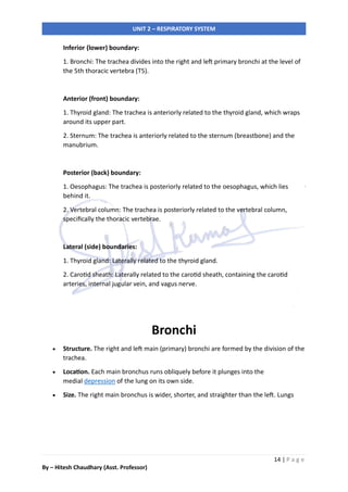Respiratory System - Unit-2 of Anatomy & Physiology for Nursing ...
