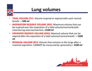 Lung volumes
• TIDAL VOLUME (TV): Volume inspired or expired with each normal
breath. = 500 ml
• INSPIRATORY RESERVE VOLUME (IRV): Maximum volume that can
be inspired over the inspiration of a tidal volume/normal breath.
Used during exercise/exertion.=3100 ml
• EXPIRATRY RESERVE VOLUME (ERV): Maximal volume that can be
expired after the expiration of a tidal volume/normal breath. = 1200
ml
• RESIDUAL VOLUME (RV): Volume that remains in the lungs after a
maximal expiration. CANNOT be measured by spirometry.= 1200 ml
 