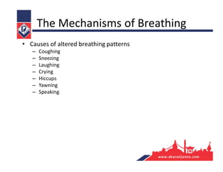 The Mechanisms of Breathing
• Causes of altered breathing patterns
– Coughing
– Sneezing
– Laughing
– Crying
– Hiccups
– Yawning
– Speaking
 
