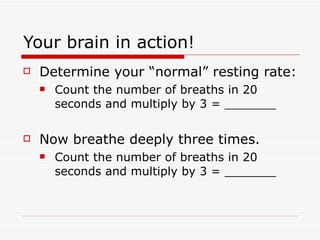 Your brain in action! Determine your “normal” resting rate: Count the number of breaths in 20 seconds and multiply by 3 = _______ Now breathe deeply three times. Count the number of breaths in 20 seconds and multiply by 3 = _______ 