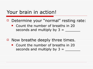 Your brain in action! <ul><li>Determine your “normal” resting rate: </li></ul><ul><ul><li>Count the number of breaths in 2...