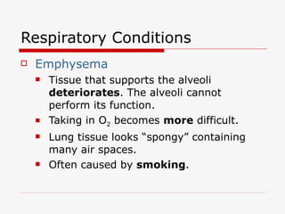 Respiratory Conditions <ul><li>Emphysema </li></ul><ul><ul><li>Tissue that supports the alveoli  deteriorates . The alveol...