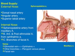 Blood Supply:
External Nose:
Dorsal nasal artery
Angular artery
Superior labial artery
Internal Nose:
Sphenopalatine artery from
maxillary A.
B. Ant. & Post ethmoidal A.
from ophthalmic a.
C. Branches of facial A.
Sphenopalatine a.
Maxillary a.
Veins
Ethmoidal vein------Ophthalmic v.
Other branches---- Pterygoid venous plexus
Facial vein
 