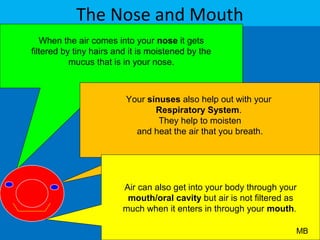 The Nose and Mouth
When the air comes into your nose it gets
filtered by tiny hairs and it is moistened by the
mucus that is in your nose.
Your sinuses also help out with your
Respiratory System.
They help to moisten
and heat the air that you breath.
Air can also get into your body through your
mouth/oral cavity but air is not filtered as
much when it enters in through your mouth.
MB
 