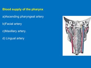 Blood supply of the pharynx
a)Ascending pharyngeal artery
b)Facial artery
c)Maxillary artery.
d) Lingual artery
 