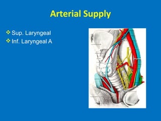 Arterial Supply
Sup. Laryngeal
Inf. Laryngeal A
 