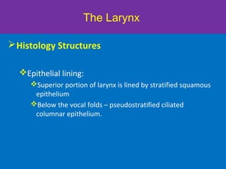 The Larynx
Histology Structures
Epithelial lining:
Superior portion of larynx is lined by stratified squamous
epithelium
Below the vocal folds – pseudostratified ciliated
columnar epithelium.
 