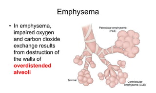 Respiratory system 1 | PPTX