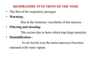 respiratory system (1).pptx along with anatomy and physiology | PPTX