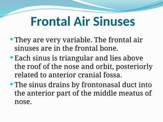Frontal Air Sinuses
 They are very variable. The frontal air
sinuses are in the frontal bone.
 Each sinus is triangular and lies above
the roof of the nose and orbit, posteriorly
related to anterior cranial fossa.
 The sinus drains by frontonasal duct into
the anterior part of the middle meatus of
nose.
 