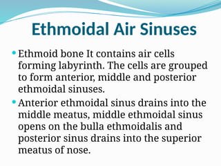 Ethmoidal Air Sinuses
 Ethmoid bone It contains air cells
forming labyrinth. The cells are grouped
to form anterior, middle and posterior
ethmoidal sinuses.
 Anterior ethmoidal sinus drains into the
middle meatus, middle ethmoidal sinus
opens on the bulla ethmoidalis and
posterior sinus drains into the superior
meatus of nose.
 