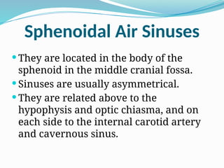 Sphenoidal Air Sinuses
 They are located in the body of the
sphenoid in the middle cranial fossa.
 Sinuses are usually asymmetrical.
 They are related above to the
hypophysis and optic chiasma, and on
each side to the internal carotid artery
and cavernous sinus.
 