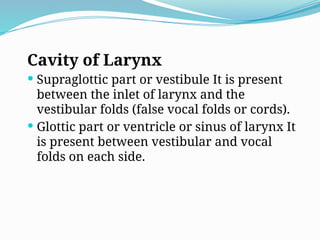 Cavity of Larynx
 Supraglottic part or vestibule It is present
between the inlet of larynx and the
vestibular folds (false vocal folds or cords).
 Glottic part or ventricle or sinus of larynx It
is present between vestibular and vocal
folds on each side.
 
