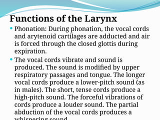 Functions of the Larynx
 Phonation: During phonation, the vocal cords
and arytenoid cartilages are adducted and air
is forced through the closed glottis during
expiration.
 The vocal cords vibrate and sound is
produced. The sound is modified by upper
respiratory passages and tongue. The longer
vocal cords produce a lower-pitch sound (as
in males). The short, tense cords produce a
high-pitch sound. The forceful vibrations of
cords produce a louder sound. The partial
abduction of the vocal cords produces a
 