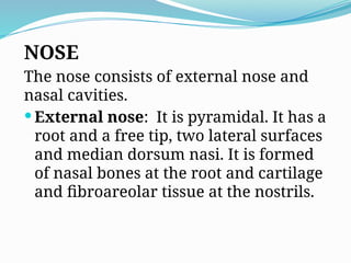 NOSE
The nose consists of external nose and
nasal cavities.
 External nose: It is pyramidal. It has a
root and a free tip, two lateral surfaces
and median dorsum nasi. It is formed
of nasal bones at the root and cartilage
and fibroareolar tissue at the nostrils.
 