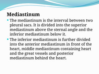 Mediastinum
 The mediastinum is the interval between two
pleural sacs. It is divided into the superior
mediastinum above the sternal angle and the
inferior mediastinum below it.
 The inferior mediastinum is further divided
into the anterior mediastinum in front of the
heart, middle mediastinum containing heart
and the great vessels and posterior
mediastinum behind the heart.
 