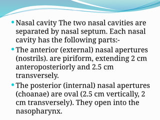 Nasal cavity The two nasal cavities are
separated by nasal septum. Each nasal
cavity has the following parts:-
 The anterior (external) nasal apertures
(nostrils). are piriform, extending 2 cm
anteroposteriorly and 2.5 cm
transversely.
 The posterior (internal) nasal apertures
(choanae) are oval (2.5 cm vertically, 2
cm transversely). They open into the
nasopharynx.
 