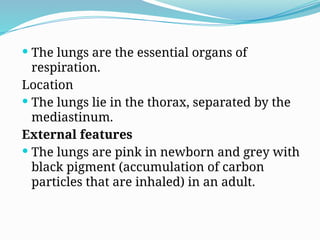  The lungs are the essential organs of
respiration.
Location
 The lungs lie in the thorax, separated by the
mediastinum.
External features
 The lungs are pink in newborn and grey with
black pigment (accumulation of carbon
particles that are inhaled) in an adult.
 