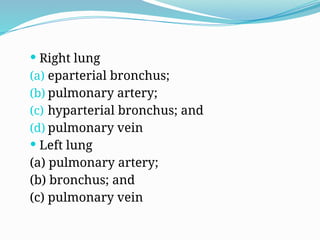  Right lung
(a) eparterial bronchus;
(b) pulmonary artery;
(c) hyparterial bronchus; and
(d) pulmonary vein
 Left lung
(a) pulmonary artery;
(b) bronchus; and
(c) pulmonary vein
 