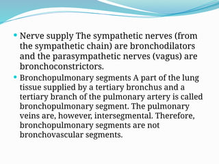  Nerve supply The sympathetic nerves (from
the sympathetic chain) are bronchodilators
and the parasympathetic nerves (vagus) are
bronchoconstrictors.
 Bronchopulmonary segments A part of the lung
tissue supplied by a tertiary bronchus and a
tertiary branch of the pulmonary artery is called
bronchopulmonary segment. The pulmonary
veins are, however, intersegmental. Therefore,
bronchopulmonary segments are not
bronchovascular segments.
 