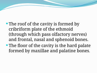  The roof of the cavity is formed by
cribriform plate of the ethmoid
(through which pass olfactory nerves)
and frontal, nasal and sphenoid bones.
 The floor of the cavity is the hard palate
formed by maxillae and palatine bones.
 