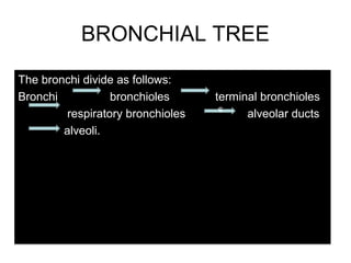 BRONCHIAL TREE
The bronchi divide as follows:
Bronchi bronchioles terminal bronchioles
respiratory bronchioles alveolar ducts
alveoli.
The bronchi divide as follows:
Bronchi bronchioles terminal bronchioles
respiratory bronchioles alveolar ducts
alveoli.
s
 