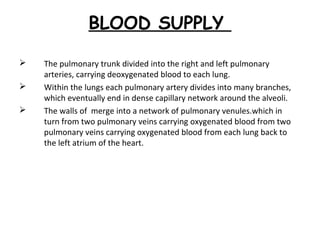 BLOOD SUPPLY
 The pulmonary trunk divided into the right and left pulmonary
arteries, carrying deoxygenated blood to each lung.
 Within the lungs each pulmonary artery divides into many branches,
which eventually end in dense capillary network around the alveoli.
 The walls of merge into a network of pulmonary venules.which in
turn from two pulmonary veins carrying oxygenated blood from two
pulmonary veins carrying oxygenated blood from each lung back to
the left atrium of the heart.
 
