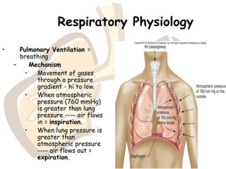 Respiratory Physiology
• Pulmonary Ventilation =
breathing
– Mechanism
• Movement of gases
through a pressure
gradient - hi to low.
• When atmospheric
pressure (760 mmHg)
is greater than lung
pressure ---- air flows
in = inspiration.
• When lung pressure is
greater than
atmospheric pressure
---- air flows out =
expiration.
 