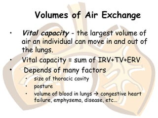 Volumes of Air Exchange
• Vital capacity - the largest volume of
air an individual can move in and out of
the lungs.
• Vital capacity = sum of IRV+TV+ERV
• Depends of many factors
• size of thoracic cavity
• posture
• volume of blood in lungs  congestive heart
failure, emphysema, disease, etc…
 