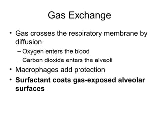 Gas Exchange
• Gas crosses the respiratory membrane by
diffusion
– Oxygen enters the blood
– Carbon dioxide enters the alveoli
• Macrophages add protection
• Surfactant coats gas-exposed alveolar
surfaces
 