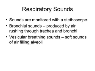 Respiratory Sounds
• Sounds are monitored with a stethoscope
• Bronchial sounds – produced by air
rushing through trachea and bronchi
• Vesicular breathing sounds – soft sounds
of air filling alveoli
 