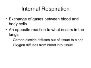 Internal Respiration
• Exchange of gases between blood and
body cells
• An opposite reaction to what occurs in the
lungs
– Carbon dioxide diffuses out of tissue to blood
– Oxygen diffuses from blood into tissue
 
