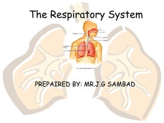 The Respiratory System
PREPAIRED BY: MR.J.G SAMBAD
 