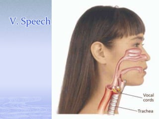 V. Speech
 