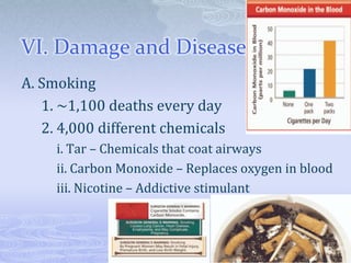 VI. Damage and Disease
A. Smoking
   1. ~1,100 deaths every day
   2. 4,000 different chemicals
     i. Tar – Chemicals that coat airways
     ii. Carbon Monoxide – Replaces oxygen in blood
     iii. Nicotine – Addictive stimulant
 
