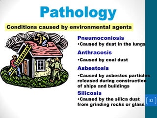 Environmental Conditions
Conditions caused by environmental agents

                       Pneumoconiosis
                       •Caused by dust in the lungs
                       Anthracosis
                       •Caused by coal dust
                       Asbestosis
                       •Caused by asbestos particles
                       released during construction
                       of ships and buildings
                       Silicosis
                       •Caused by the silica dust     32
                       from grinding rocks or glass
 