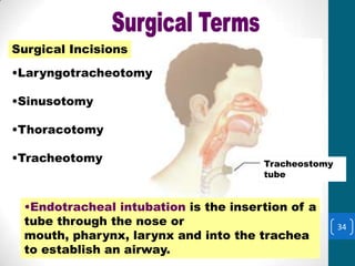 Surgical Incisions
Surgical Incisions

•Laryngotracheotomy

•Sinusotomy

•Thoracotomy

•Tracheotomy                          Tracheostomy
                                      tube


 •Endotracheal intubation is the insertion of a
 tube through the nose or                            34
 mouth, pharynx, larynx and into the trachea
 to establish an airway.
 