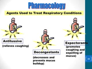 Agents to Treat Respiratory
  Conditions Treat Respiratory Conditions
  Agents Used to




Antitussive
                                       Expectorants
(relieves coughing)                    (promotes
                                       coughing and
                      Decongestants    expelling of
                                       mucus)
                      (decreases and
                                                      38
                      prevents mucus
                      buildup)
 