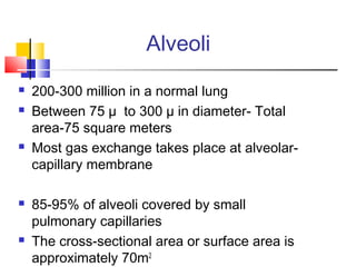 Alveoli
 200-300 million in a normal lung
 Between 75 µ to 300 µ in diameter- Total
area-75 square meters
 Most gas exchange takes place at alveolar-
capillary membrane
 85-95% of alveoli covered by small
pulmonary capillaries
 The cross-sectional area or surface area is
approximately 70m2
 